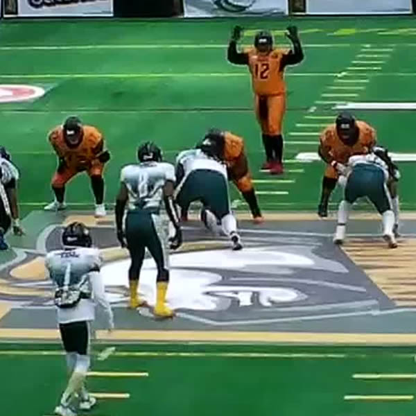 Beef defeat Mustangs 56 to 40